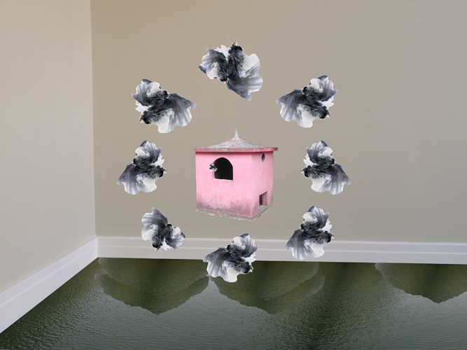 The daily dream of René