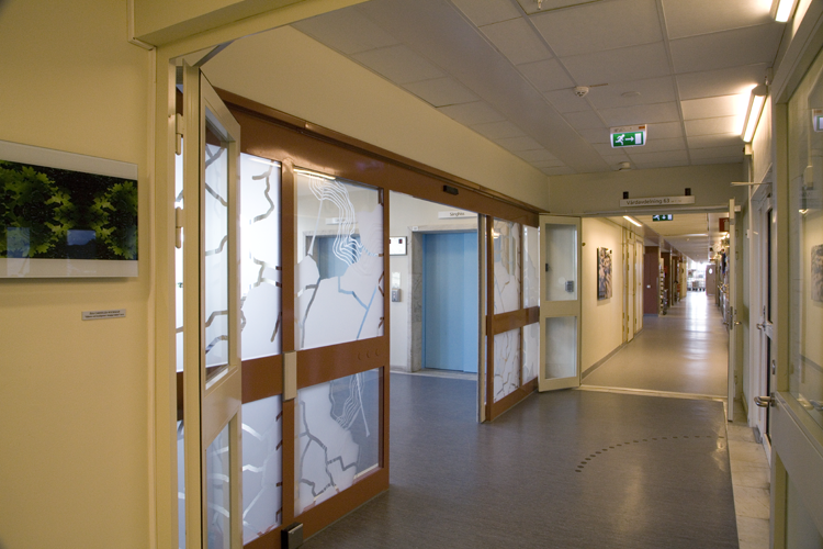 Gläntor och hemligheter i skogiga trakter