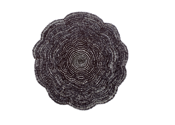 Svart blomma, Black flower