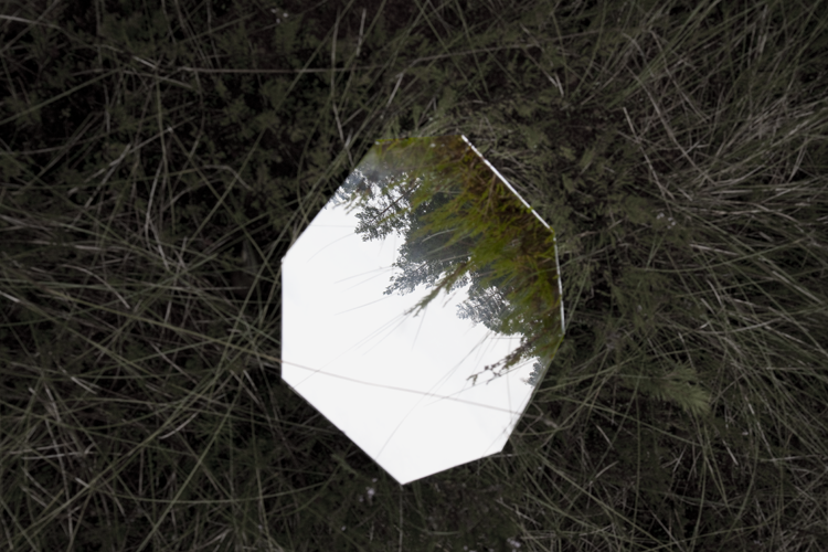 Mirroring III