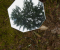 Mirroring IV