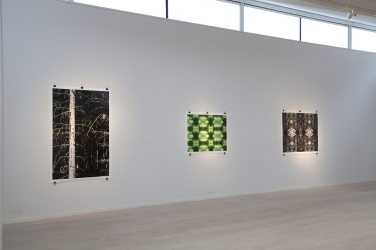 Tomelilla Konsthall