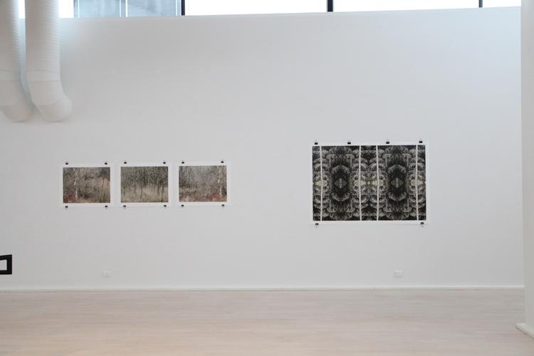 Tomelilla Konsthall