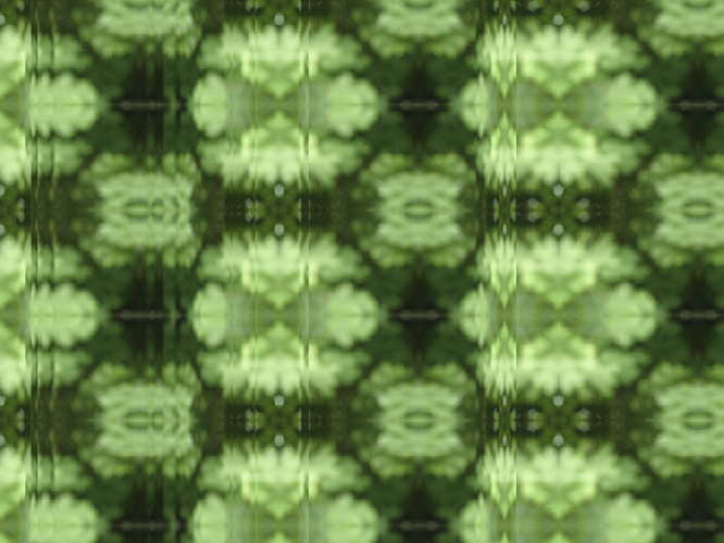 Among Leaves