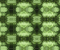 Among Leaves