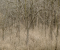 Within Trees III