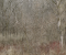 Within Trees IV